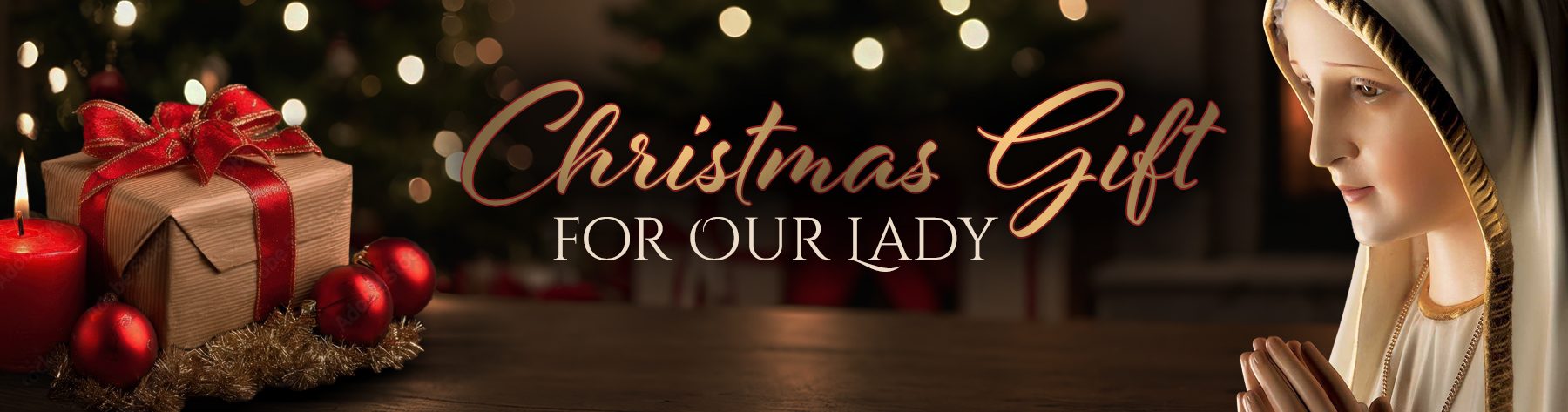 ChristmasGiftForOurLady